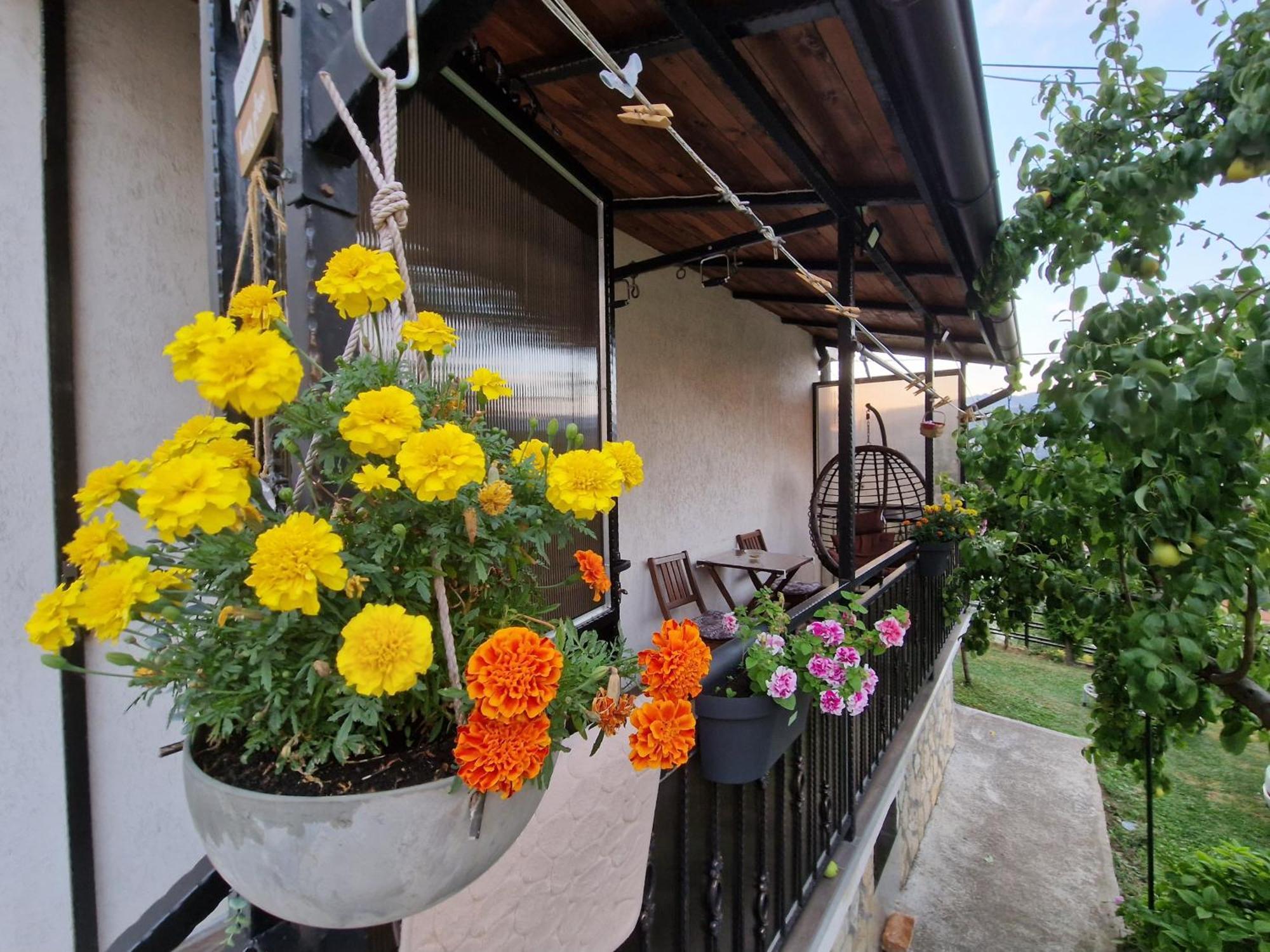Апартаменты Garden Of Dreams & Free Private Parking Сараево Экстерьер фото
